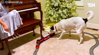 Приколы первой недели января 2021 года - смотреть видео (12:01)