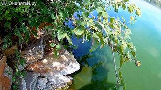 Когда рыбалка - место курьёзов - смотреть видео (8:09)