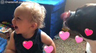 Весёлые собаки, причудливые кошки и детки - смотреть видео (3:22)