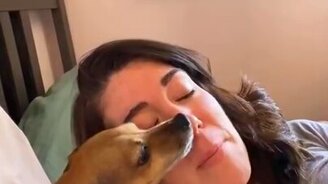 Миленькие и весёленькие питомцы - смотреть видео (9:03)