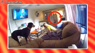 Забавные и редкие кадры с камер видеонаблюдения - смотреть видео (13:10)