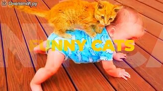 Забавнейшие кошки - смотреть видео (2:58)