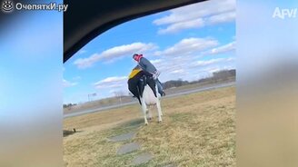 Приколы первой недели 2021 года - смотреть видео (8:20)