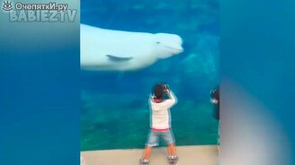 Детские приключения возле аквариумов - смотреть видео (2:16)