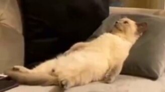 Слишком рано вернулся с работы - смотреть видео (0:13)