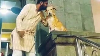 Благословение от собаки - смотреть видео (0:26)