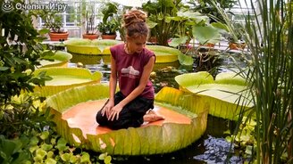 Насколько большими бывают растения - смотреть видео (12:11)