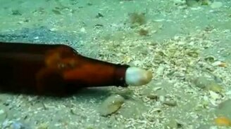 Осьминог в бутылке - смотреть видео (0:52)