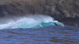 Морские львы и морские волны - смотреть видео (1:00)