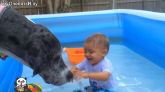 Дети с собаками в воде - смотреть видео (2:50)