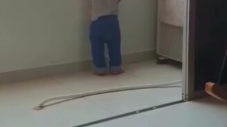 Кот присматривает за малышом на балконе - смотреть видео (0:29)