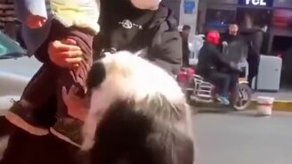 Возьми меня на ручки - смотреть видео (0:25)