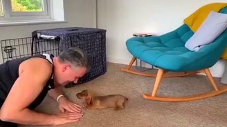 Когда завёл собаку, хотя не хотел - смотреть видео (0:34)