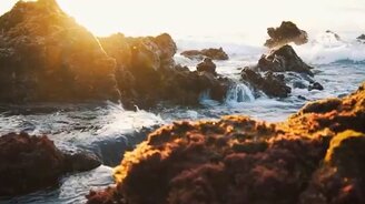 Природный пейзаж под музыку - смотреть видео (1:13)