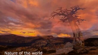 Волшебная и удивительная красота природы - смотреть видео (4:04)