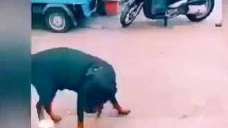 Сейчас ты у меня получишь - смотреть видео (0:10)