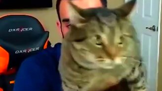 Кот, которому сильно не понравилось происходящее - смотреть видео (0:15)