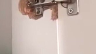 Как напортачить на двух квадратных метрах - смотреть видео (3:00)