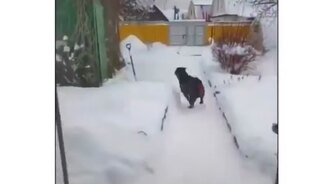 Нюша, сходи за веничком - смотреть видео (0:37)