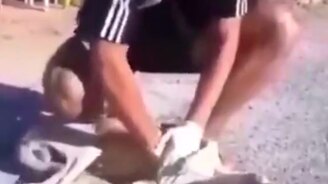 Спас собаку, сделав массаж сердца - смотреть видео (0:34)