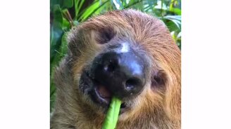 Я ранним утром - смотреть видео (0:27)