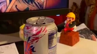 Попугайчик играет в прятки - смотреть видео (0:59)