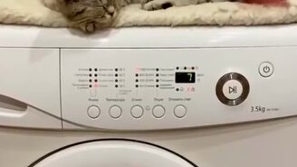 Поехал на скором поезде, не выходя из дома - смотреть видео (0:15)