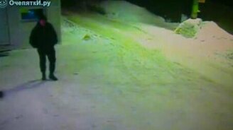 Охраняет от котов - смотреть видео (0:30)