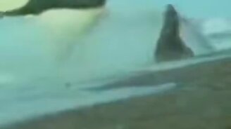 Не успела съесть - смотреть видео (0:09)