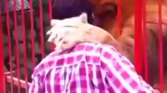 Соскучился по своему воспитателю - смотреть видео (0:15)