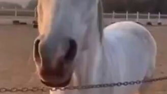 А я классная? - смотреть видео (0:36)