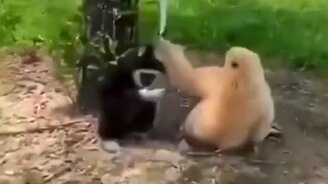 Мы, когда начнётся лето - смотреть видео (0:19)