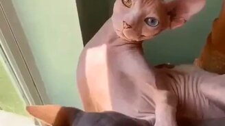 Ты снимаешь меня на камеру? Ну давай - смотреть видео (0:12)