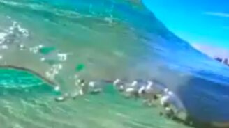 Вот она, прозрачная вода - смотреть видео (0:11)