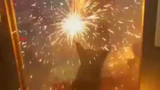 Пёс-поджигатель - смотреть видео (0:28)