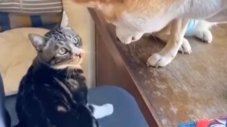 Всё, что делаешь, к тебе возвращается - смотреть видео (0:16)