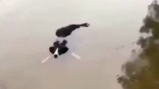 Я похож на крокодила? - смотреть видео (0:15)