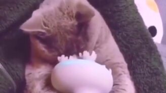 Ласка и нежность всегда с собой - смотреть видео (0:12)