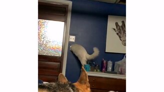 Интересно, я пролезу в эту дырочку? - смотреть видео (0:17)