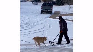 Давай снежка мне! - смотреть видео (0:11)