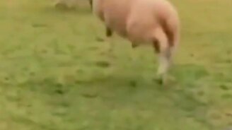 А как ты радуешься? - смотреть видео (0:07)