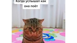 Когда услышал, как она поёт - смотреть видео (0:09)