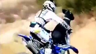 Мототрюки с собакой - смотреть видео (0:20)