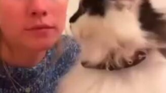 Реакция кота на поцелуй в лоб - смотреть видео (0:08)