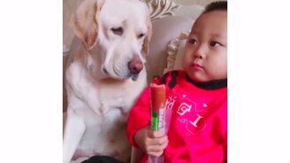 Хоть понюхать вкуснятину - смотреть видео (0:15)