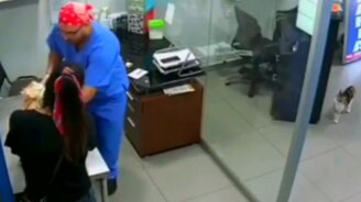 Кошка заступается за пса - смотреть видео (0:14)