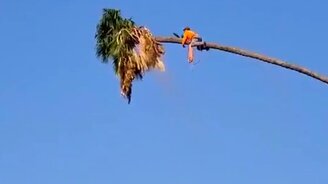 Опасная профессия - смотреть видео (0:23)