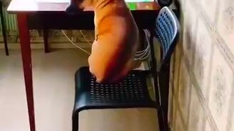 Упс, показалось, что собака - смотреть видео (0:07)