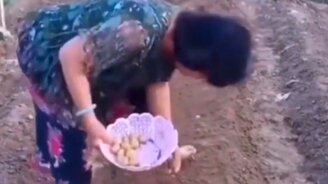 Мастерица посадок - смотреть видео (0:11)