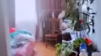 Уважительная причина, чтобы не идти на работу - смотреть видео (0:33)